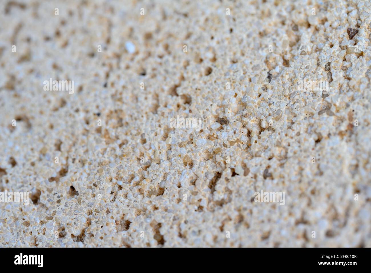 Texture finamente granulosa di una superficie in cemento beige chiaro. Porosità visibile attraverso fori e rientranze disposti in modo irregolare. Leggera spolveratura di particelle fini Foto Stock