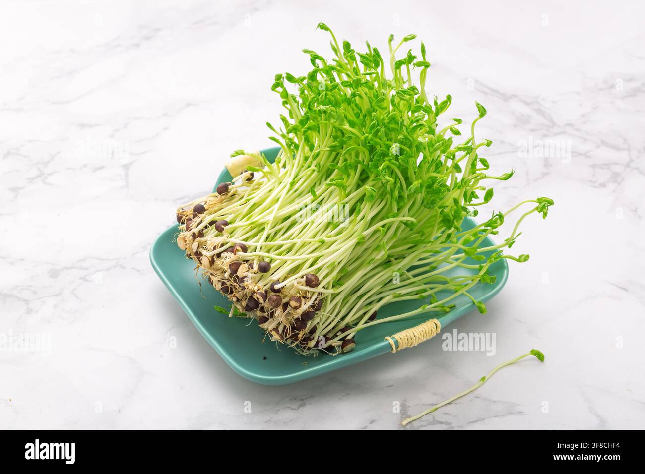 Germogli di piselli verdi crudi freschi microgreens teneri germogli di piselli Foto Stock