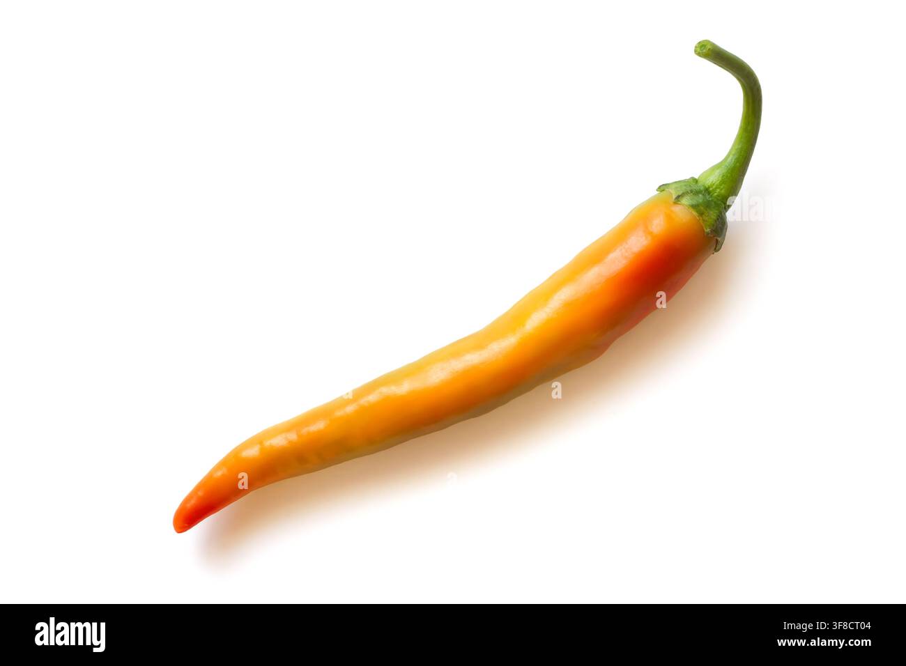 Peperoni piccanti isolati su sfondo bianco. Peperoni organici naturali isolati. Con un'ombra. Foto Stock