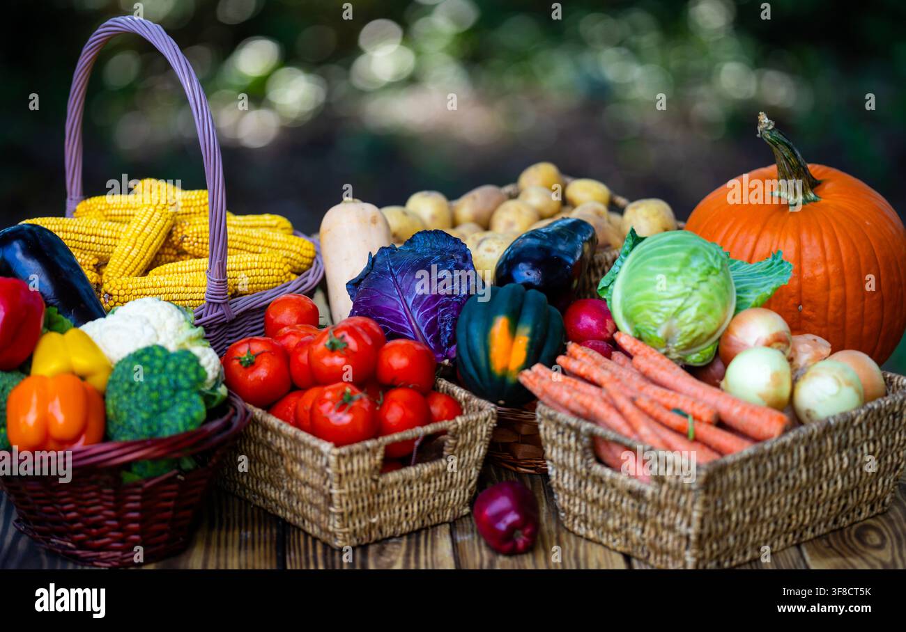 Verdure sane e frutti freschi. Assortimento di raccolte del mercato contadino. Prodotti biologici in cesti di vimini. Concetto di esposizione di cibi naturali. Foto Stock