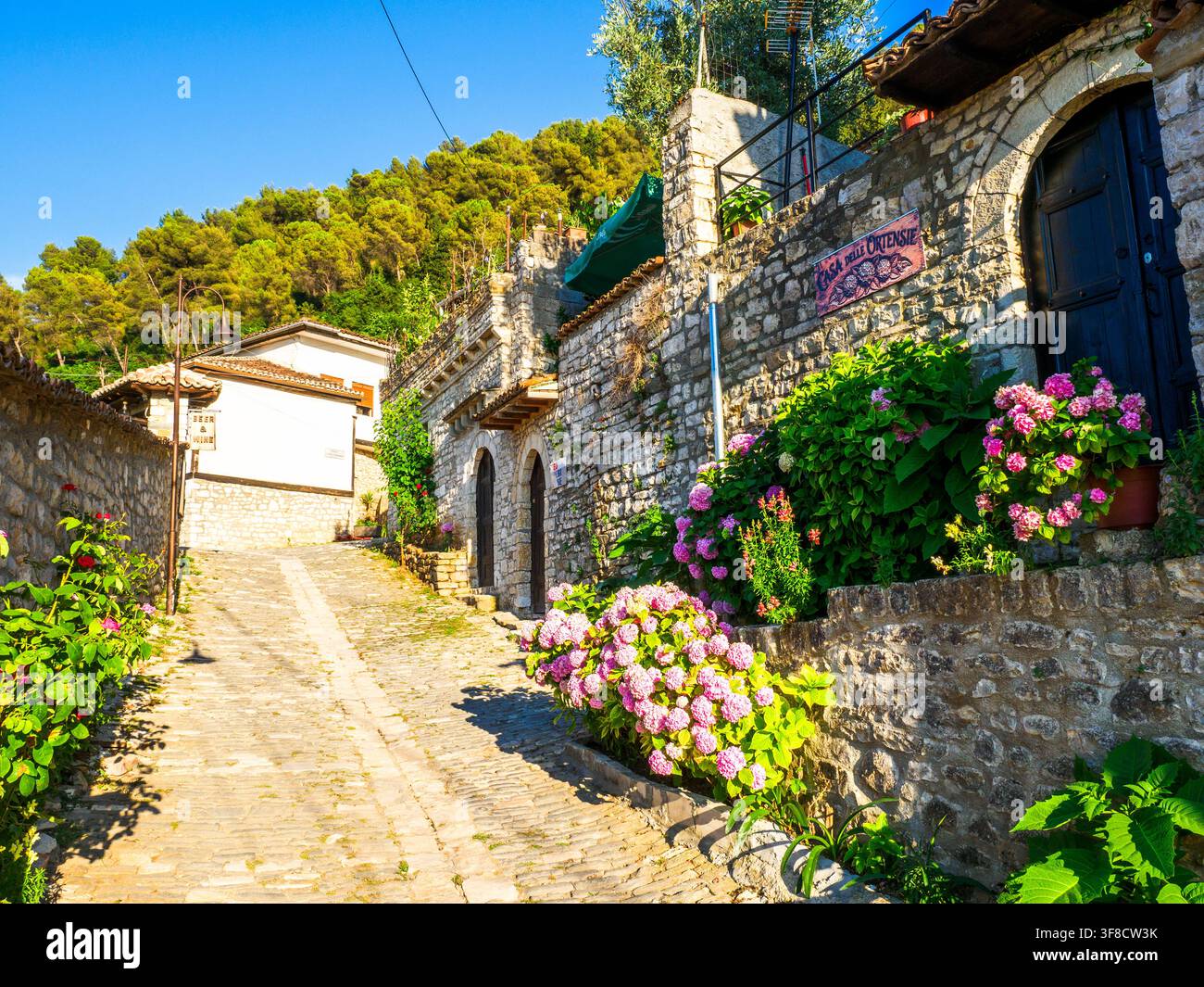 Casa in pietra in una strada ripida e stretta del quartiere antico di Gorica - Berat, Albania Foto Stock