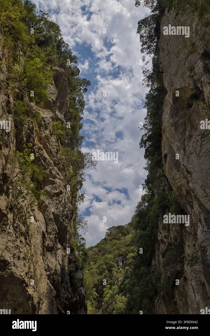 Le scogliere di calcare si innalzano sopra le sorgenti del fiume Acheronte in Epiro, Grecia, viste verso l'alto attraverso la stretta gola. Foto Stock