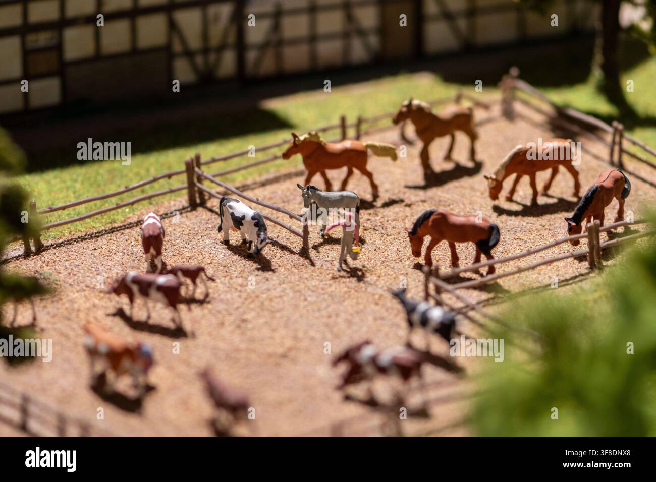 Una vista ravvicinata mostra cavalli in miniatura e figure di bovini all'interno di recinti recintati con messa a fuoco selettiva e luce calda del sole. Foto Stock