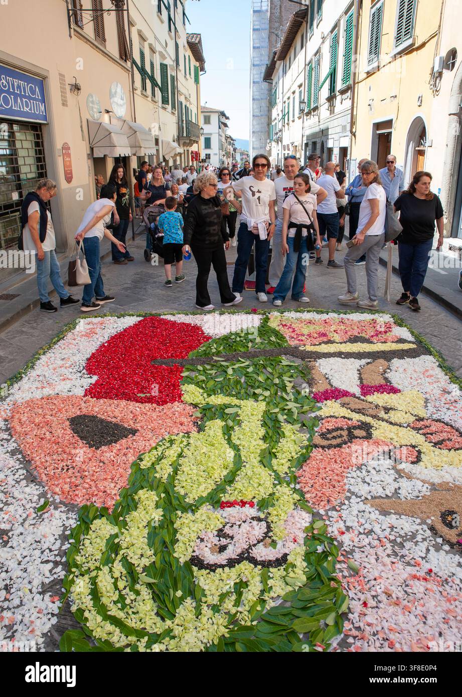 Realizzare un tappeto floreale, chiamato Infiorata, per celebrare la primavera Foto Stock