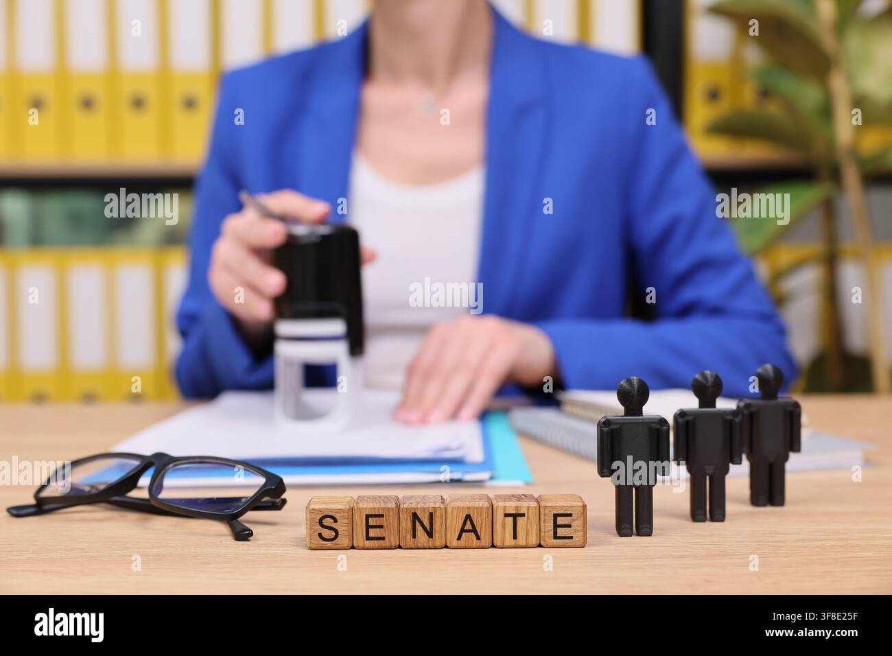 Riunione in ufficio con attenzione al processo legislativo e al ruolo del Senato Foto Stock