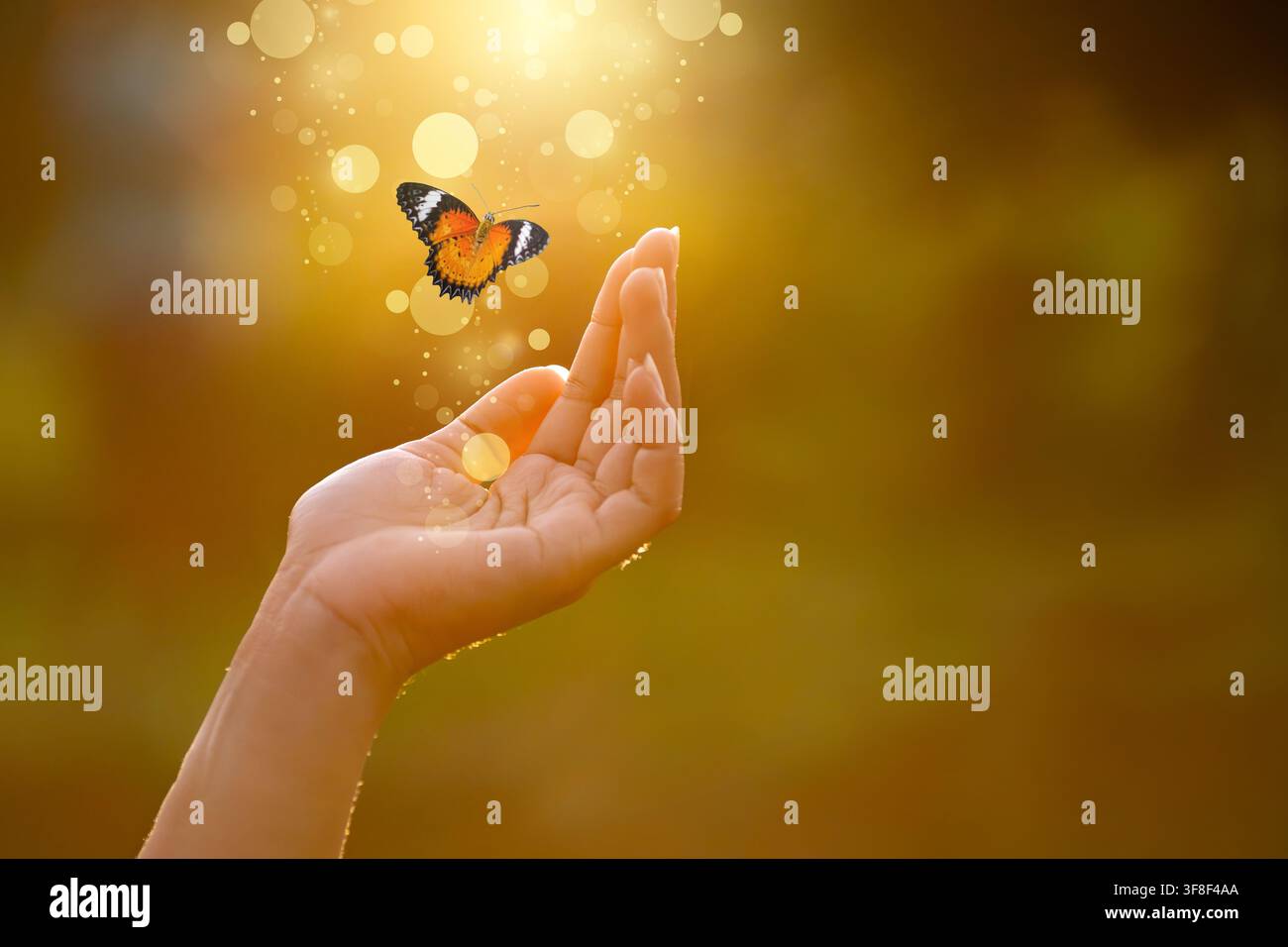 Farfalla che vola sopra una mano aperta con luce bokeh dorata che simboleggia libertà, speranza e trasformazione spirituale su uno sfondo di tramonto caldo Foto Stock
