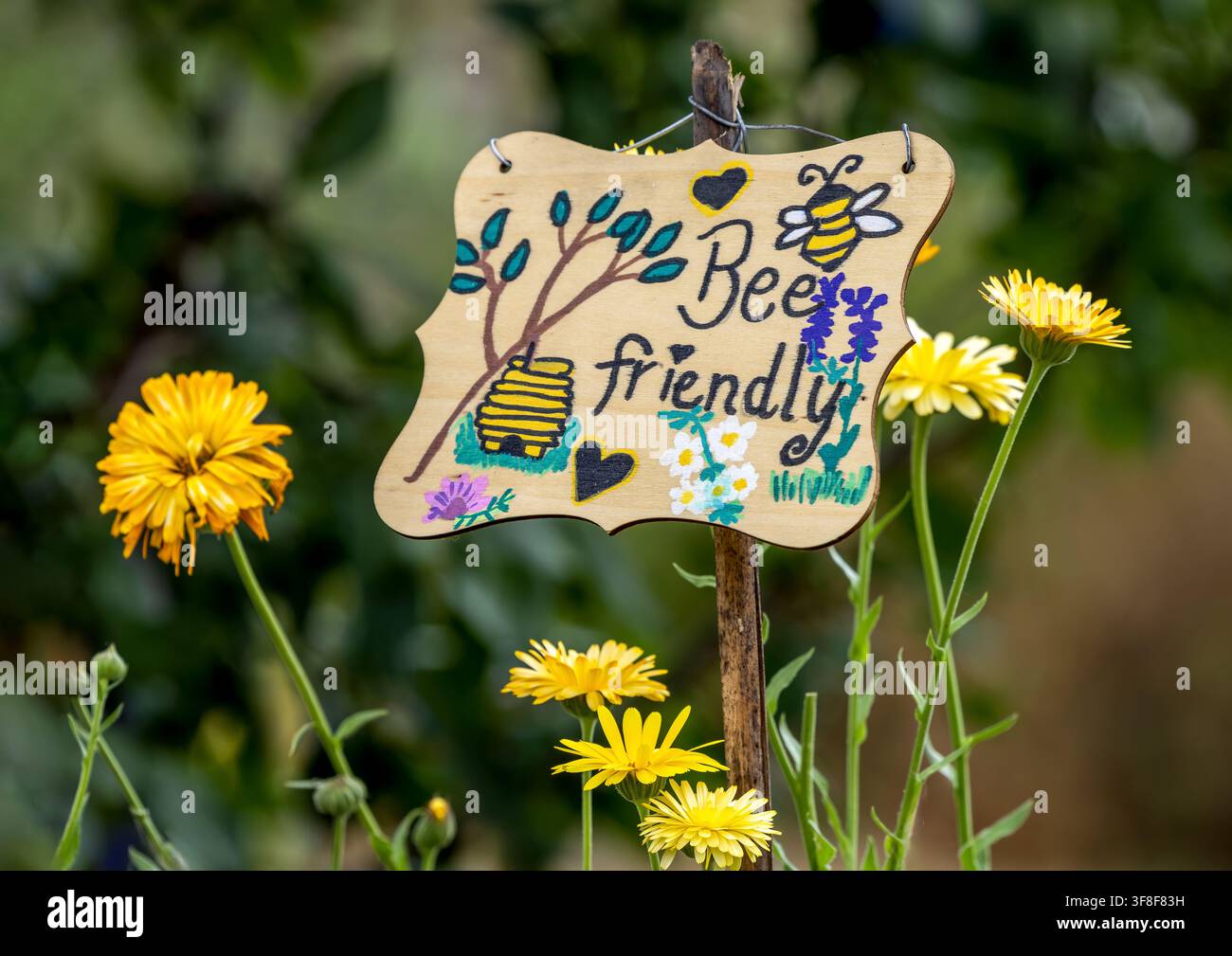 Giardino amichevole per le api Foto Stock