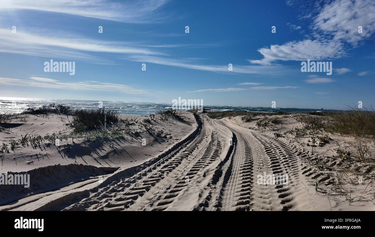 Tracce di pneumatici diagonali attraverso dune di sabbia bianca sotto un cielo drammatico in Portogallo Foto Stock