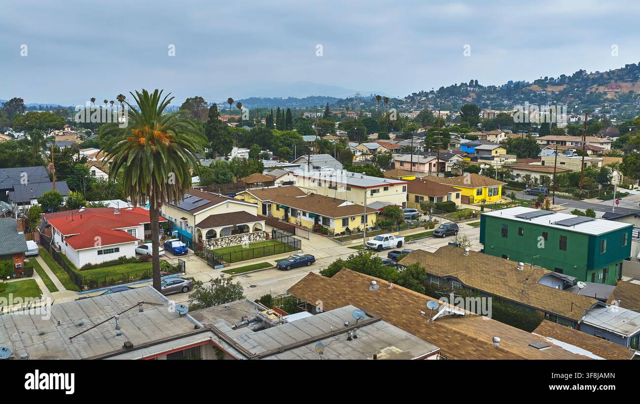 Veduta aerea di un quartiere residenziale di Los Angeles con palme e case colorate Foto Stock