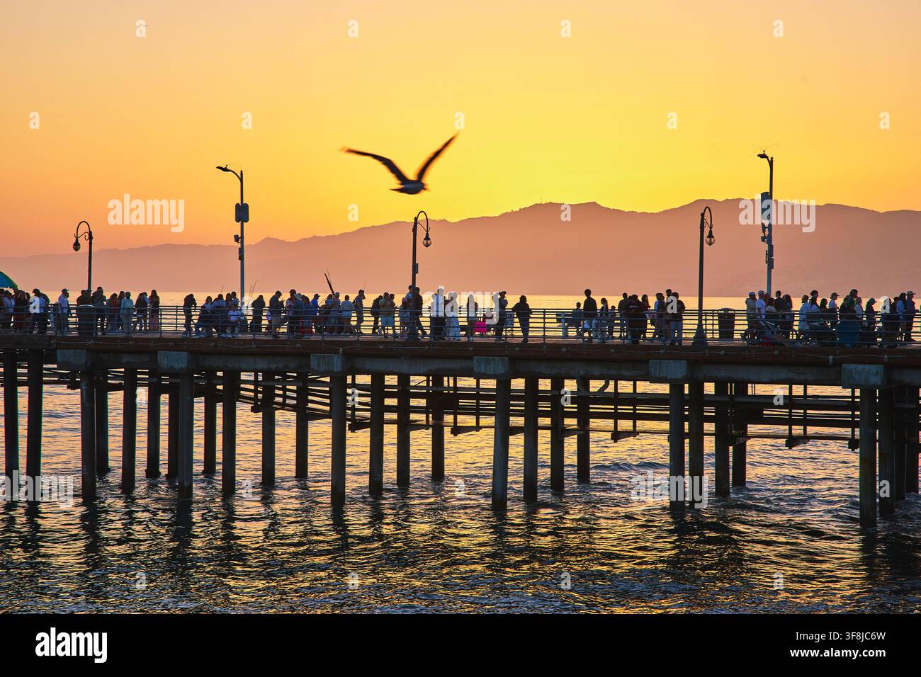 Follicolo al molo di Santa Monica al tramonto con gabbiano e oceano in California nell'ora dorata Foto Stock