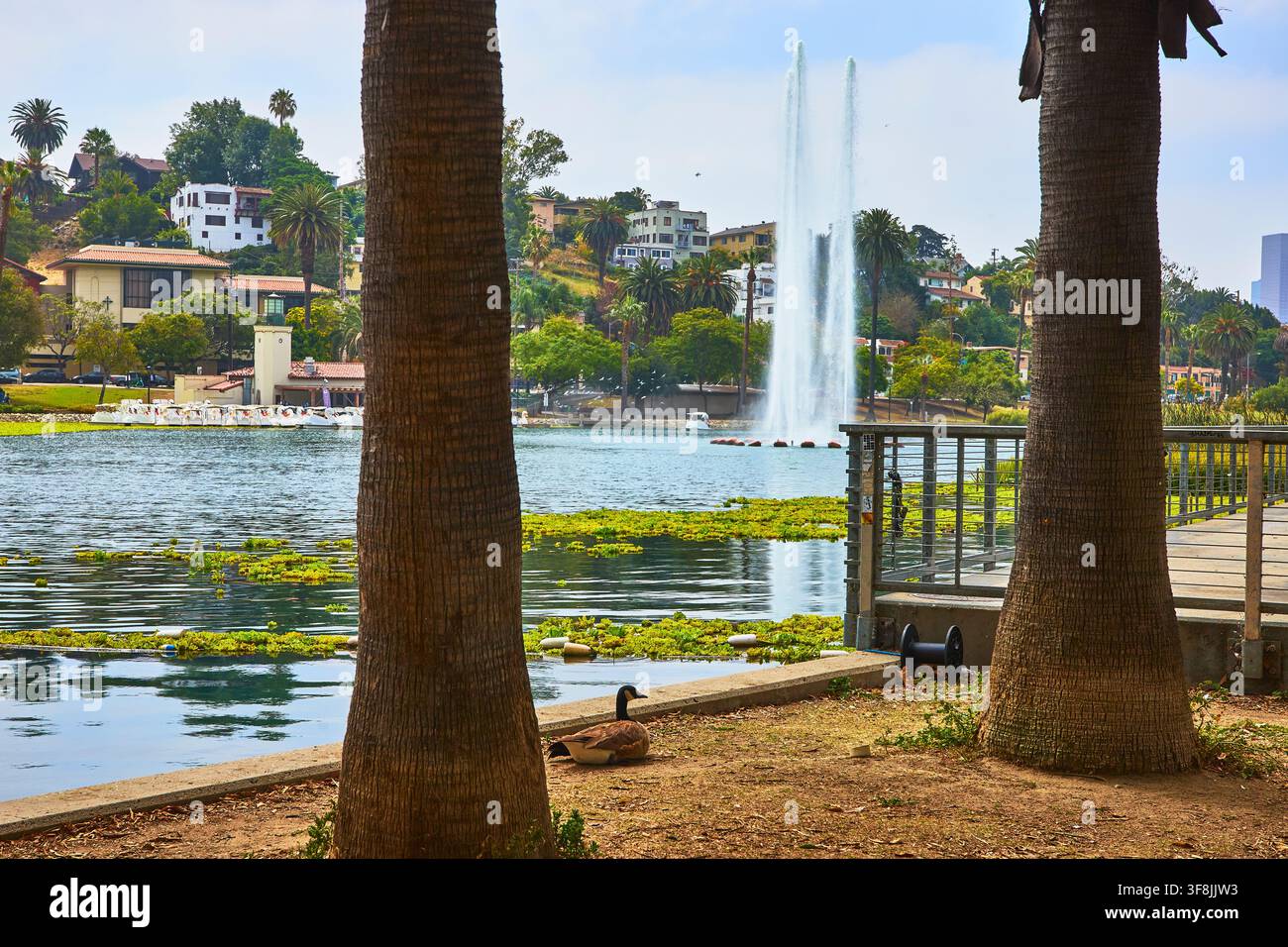 Palme e fontana d'acqua al Echo Park Lake, paesaggio urbano di Los Angeles Foto Stock