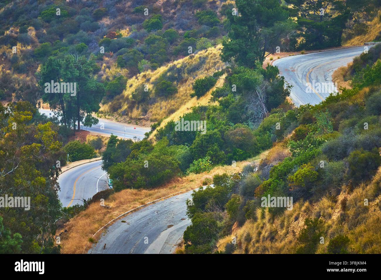 Sentiero tortuoso attraverso le colline di Griffith Park e la vegetazione lussureggiante a Los Angeles, California Foto Stock
