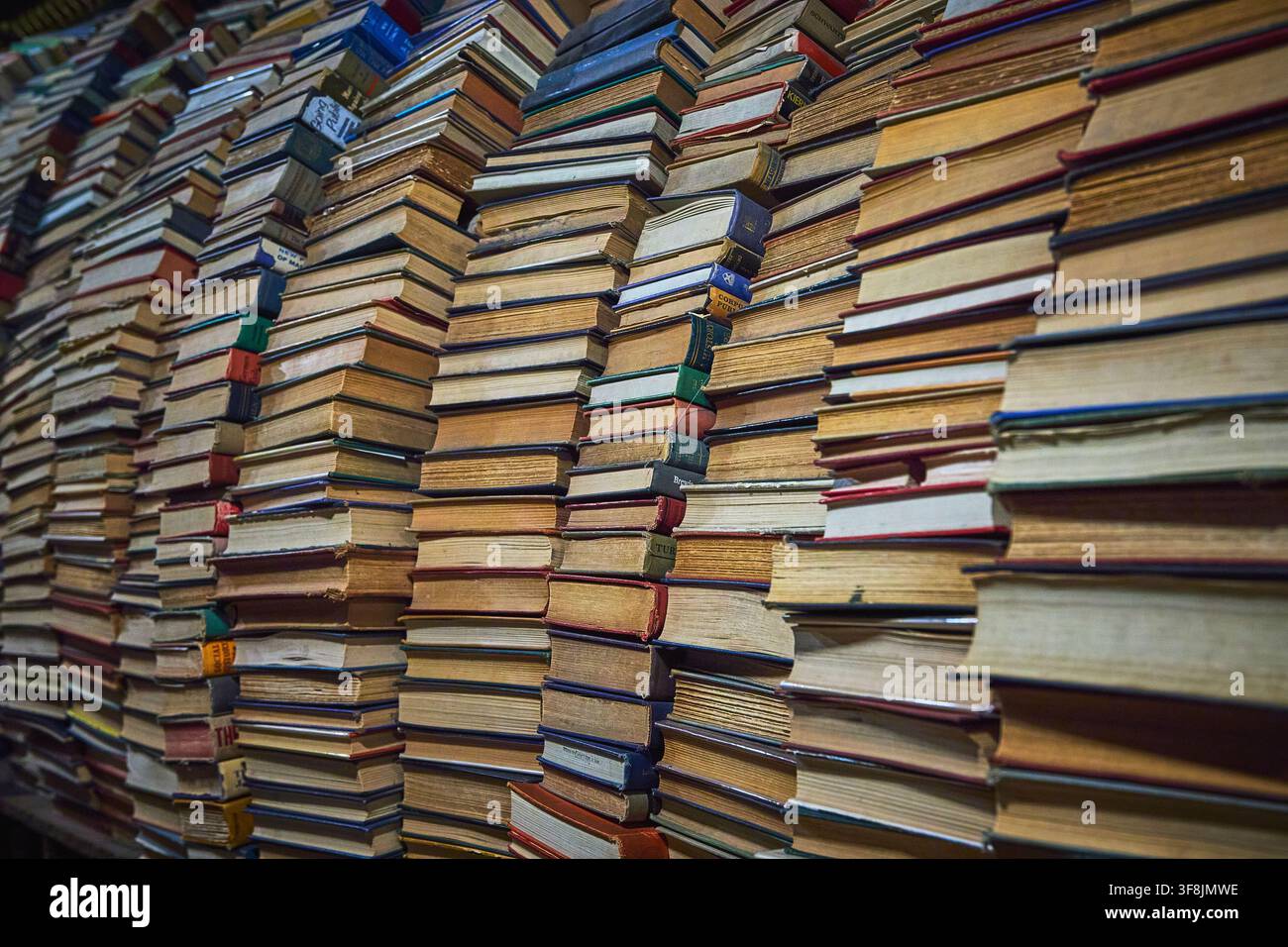 Pile di libri vintage che formano un muro in una accogliente libreria della California Foto Stock