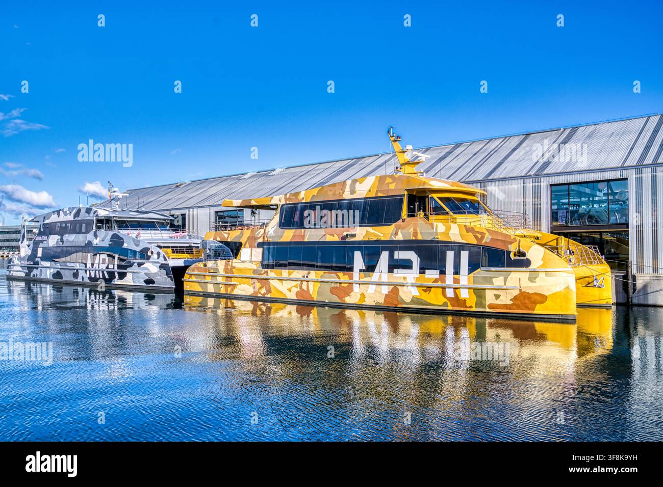 Barche turistiche artisticamente mimetizzate ormeggiate sul lungomare di Hobart in Tasmania, Australia. Foto Stock