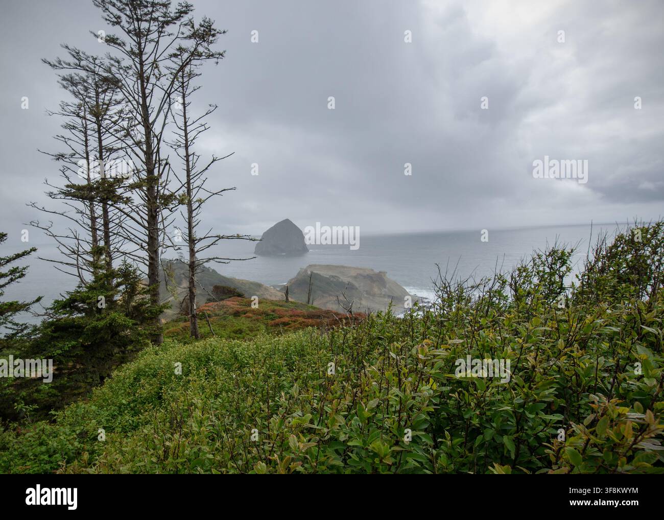 Area naturale dello stato di Kiwanda Foto Stock