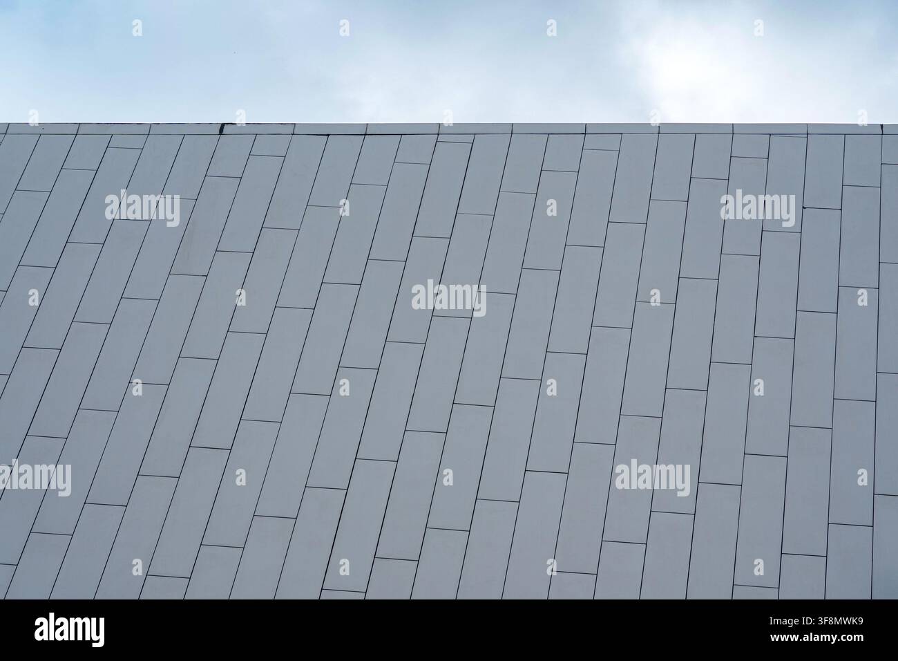 Pannelli di rivestimento rettangolari grigio chiaro sull'esterno del tetto di un edificio contro un cielo nuvoloso. Foto Stock