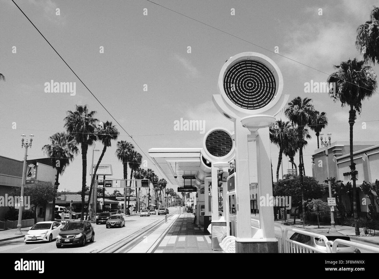 Lampioni distintivi e palme costeggiano un viale a Los Angeles, California, fotografati in bianco e nero. Foto Stock