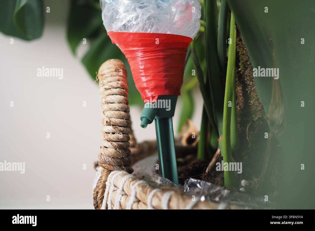 Sistema di auto-irrigazione per pianta in vaso da interno Foto Stock