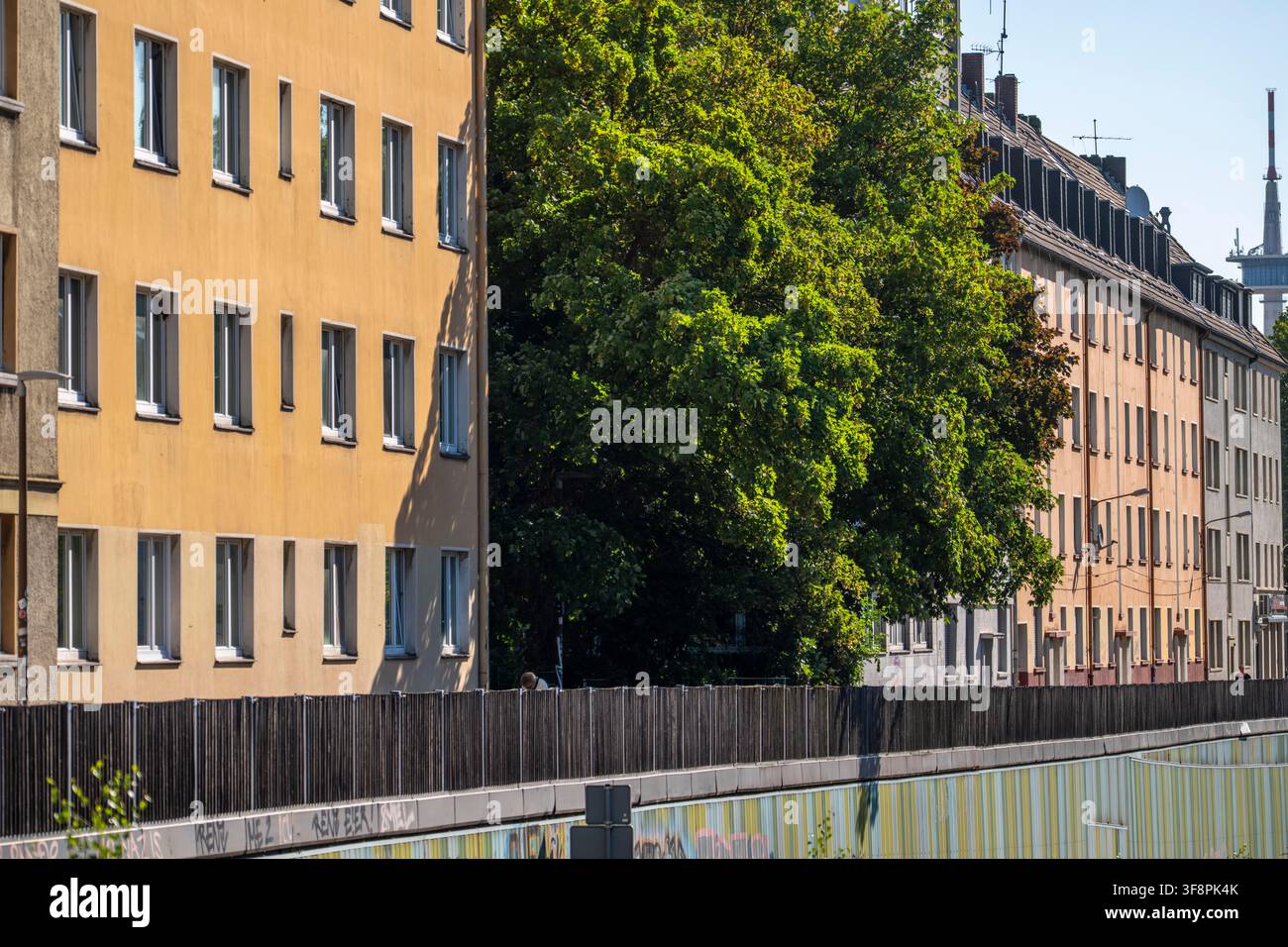 Edifici residenziali a Essen-Frohnhausen, proprio accanto all'autostrada A40; due alberi si stagliano contro la facciata, altrimenti ci sono solo Su sigillati Foto Stock