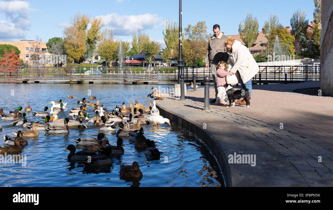 Famiglia che si gode il tempo libero autunnale dando da mangiare alle anatre in un tranquillo laghetto del parco con il loro cane Foto Stock