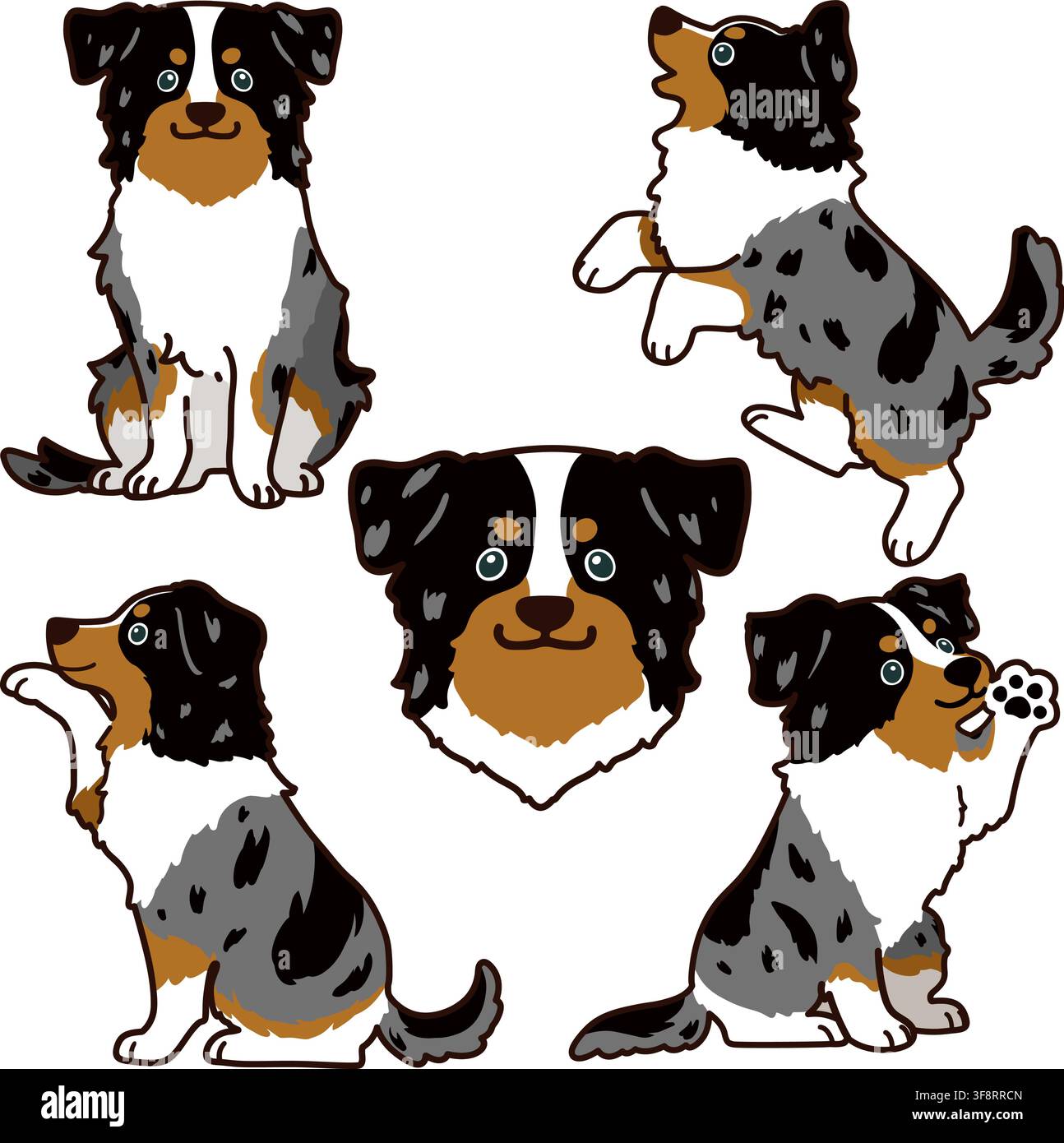 Set di illustrazioni di Australian Shepherd a contorno Illustrazione Vettoriale