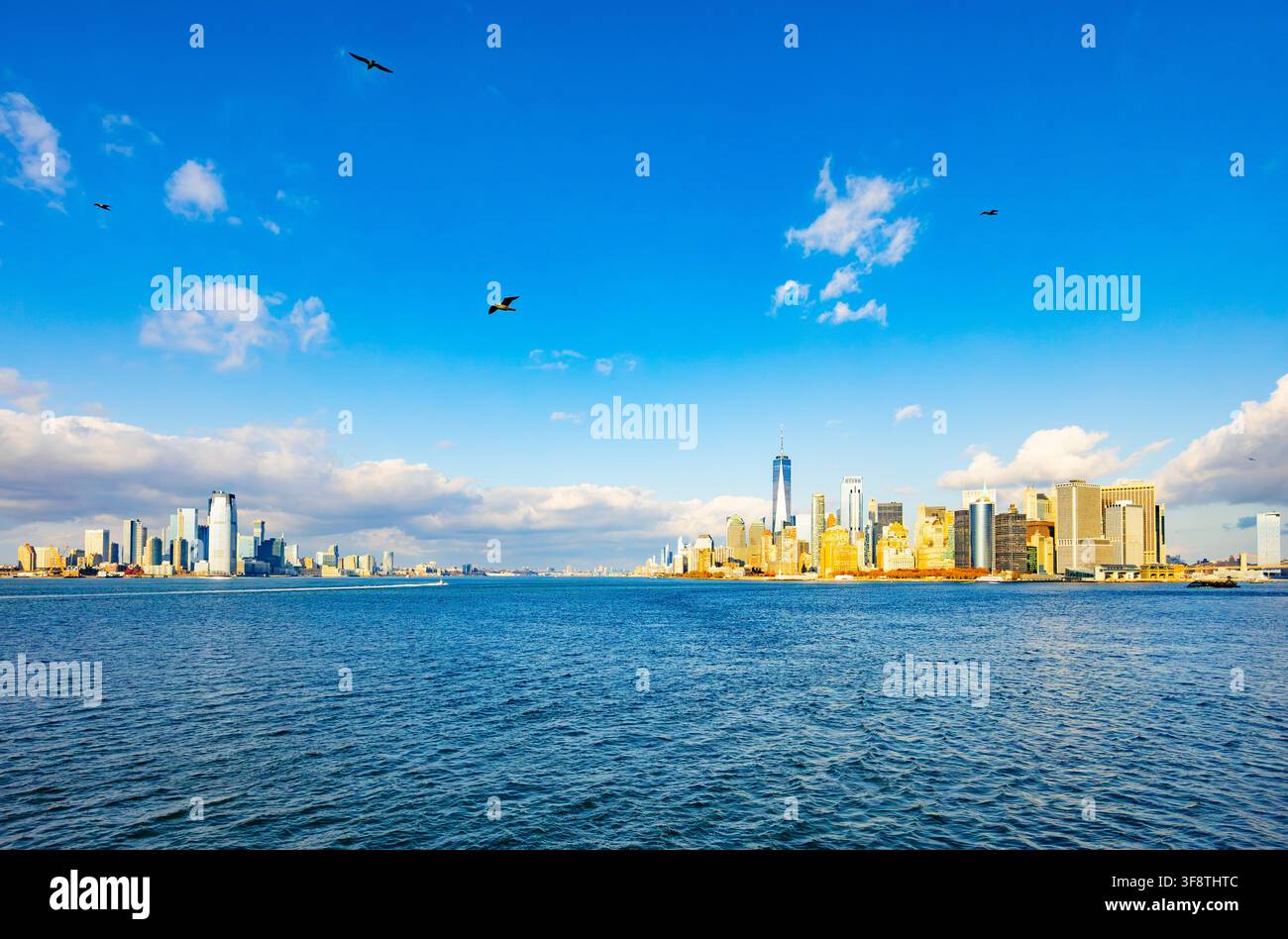 New York, Stati Uniti - 20 novembre 2025: Vista panoramica dello skyline di Manhattan e Jersey City attraverso il fiume Hudson con gabbiani che volano nel cielo azzurro Foto Stock