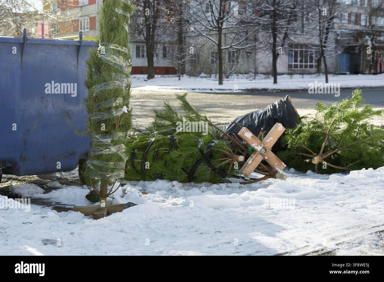 Alberi di pino abbandonati lasciati vicino a un bidone della spazzatura, immagine concettuale per l'inquinamento ambientale, il riciclaggio dei rifiuti verdi e un consumo consapevole. Foto Stock
