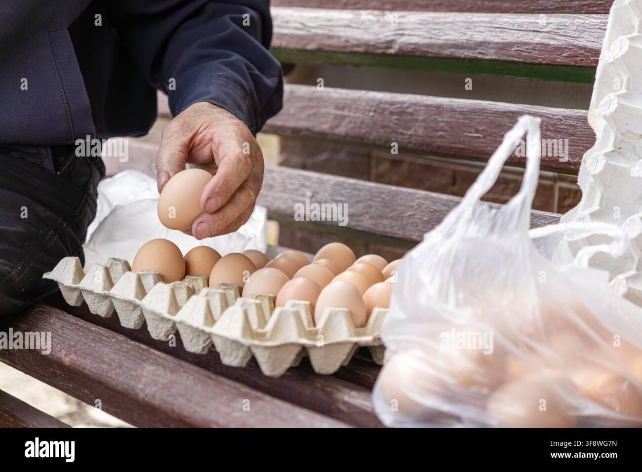 Mano matura che raccoglie un uovo crudo da un vassoio pieno di uova su una panchina del parco, enfatizzando la nutrizione naturale, l'approvvigionamento locale e i semplici piaceri della campagna Foto Stock