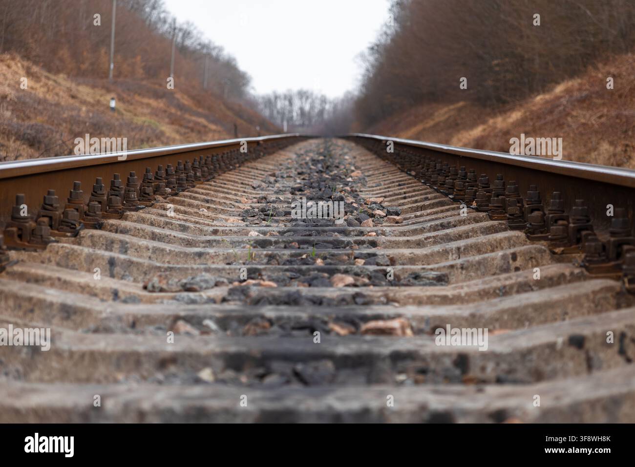 Traversine di cemento e rotaie metalliche si estendono su un sentiero boschivo desolato durante l'inverno, simboleggiando il percorso da intraprendere, gli obiettivi futuri, la determinazione e Foto Stock