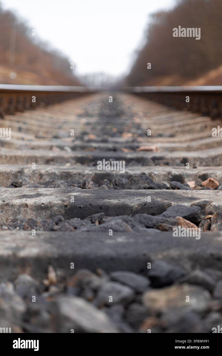 Binari ferroviari con traverse in cemento e massicciata in ghiaia che si perdono in lontananza in un bosco sfocato, simboleggiando viaggio, transizione e il Foto Stock