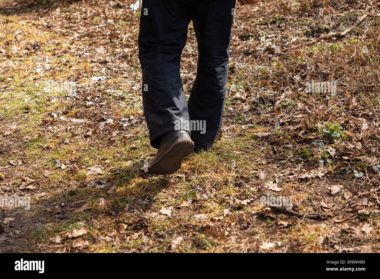 Una vista ravvicinata di gambe in pantaloni resistenti e calzature robuste che calpestano un sentiero boschivo, catturando lo spirito dell'avventura nella natura, del viaggio, dell'outdoor Foto Stock