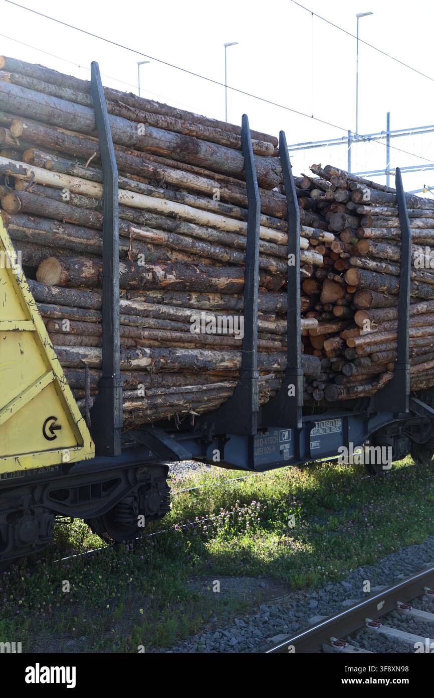 Carri ferroviari gialli carichi di legname alla stazione di Östersund, che trasportano tronchi per il trasporto in una giornata estiva. Foto Stock