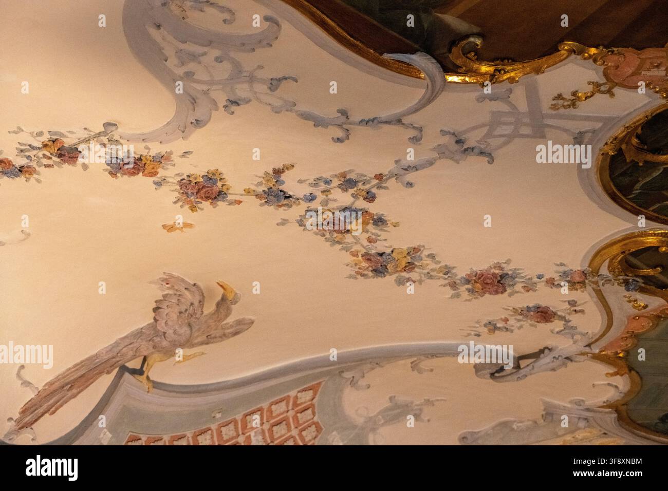 Kempten, Germania - 26 lug 25: Affresco ornamentato sul soffitto con pittura floreale, motivo di uccelli, stucco e decorazione rococò dorata all'interno della Residenza di Kempten Foto Stock