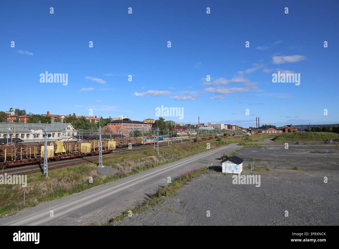 Carri ferroviari gialli carichi di legname alla stazione di Östersund, che trasportano tronchi per il trasporto in una giornata estiva. Foto Stock