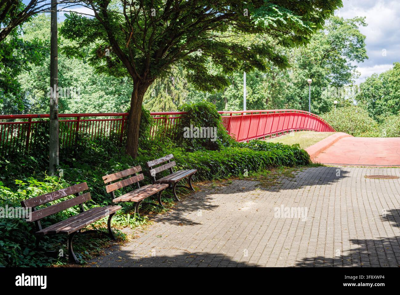 Tre panchine di legno vuote su un marciapiede lastricato in un parco cittadino soleggiato. Un moderno ponte pedonale rosso e alberi verdi rigogliosi sono sullo sfondo. Pacifico Foto Stock