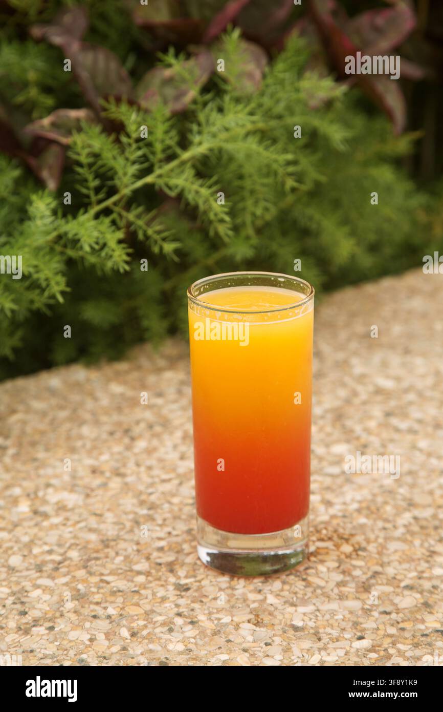 bicchiere con un cocktail a due strati giallo-rosso su sfondo verde Foto Stock