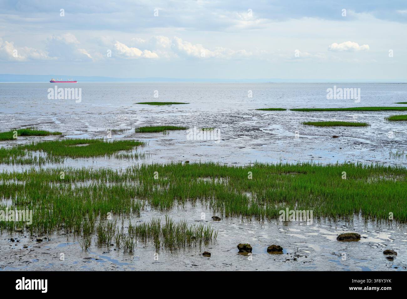 Costa di Baie-Saint-Paul con una petroliera in lontananza, Canada Foto Stock