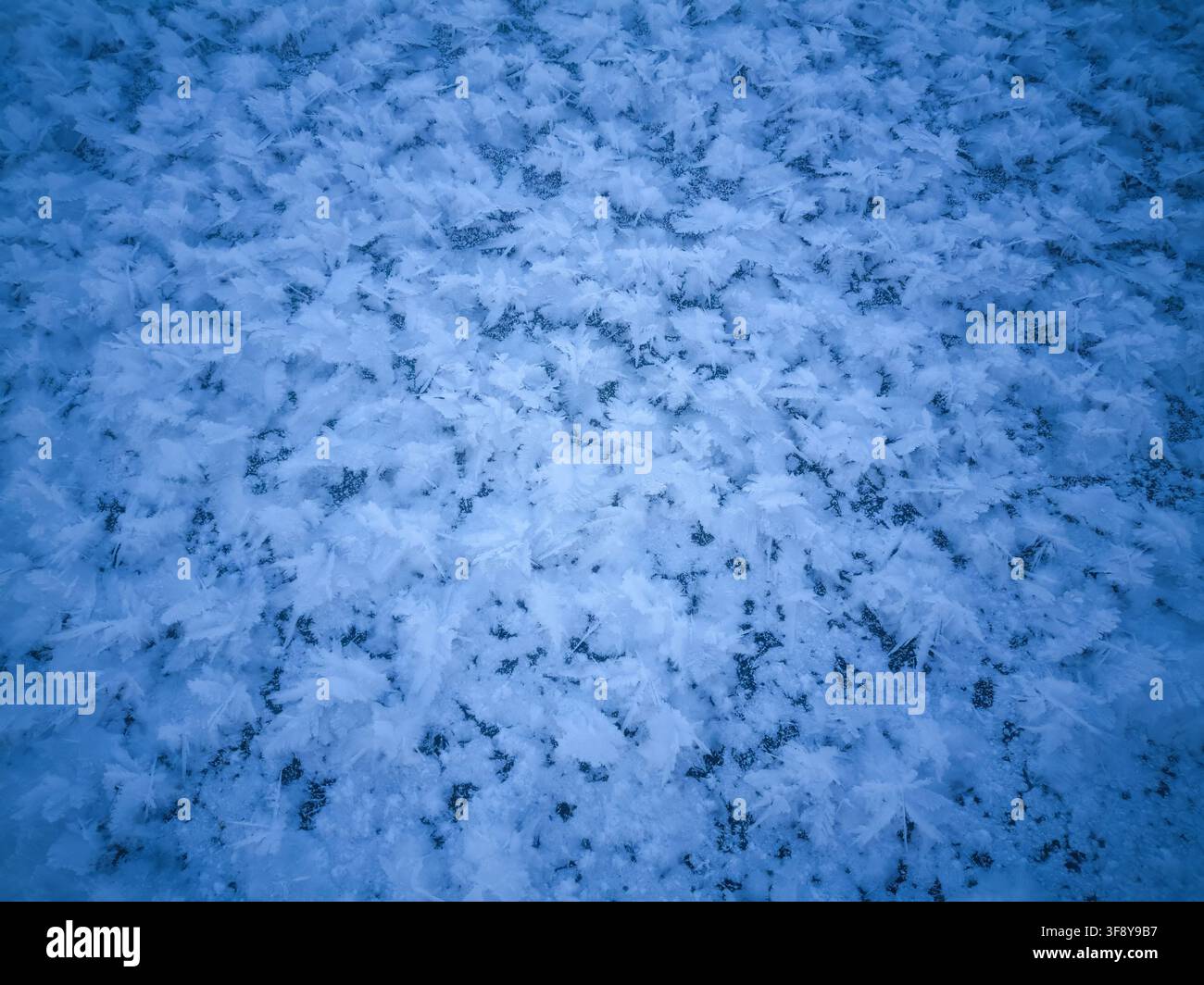 Sullo sfondo scuro e austero, il design ghiacciato evoca un senso di serena meraviglia, con ogni sfumatura di blu e bianco che contribuisce a un quasi Foto Stock
