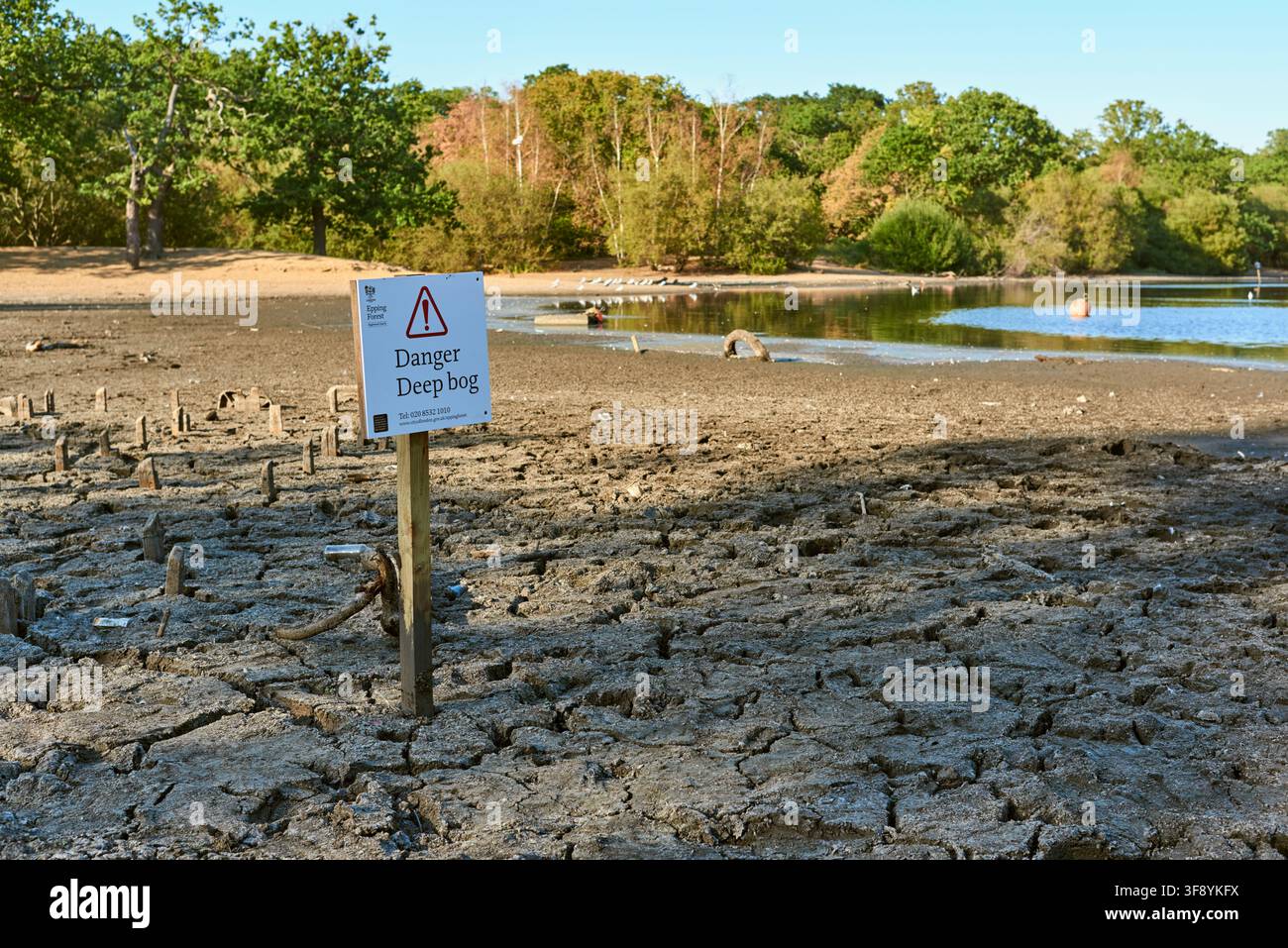 Hollow Pond, Leyton Flats, Londra, Regno Unito, durante la quinta ondata di caldo estiva, il 13 agosto 2026 Foto Stock