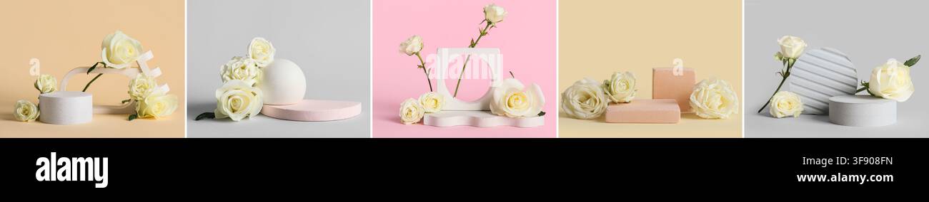 Collage di cinque diversi podi espositivi per prodotti con rose bianche su vari sfondi pastello per il branding di cosmetica e bellezza Foto Stock
