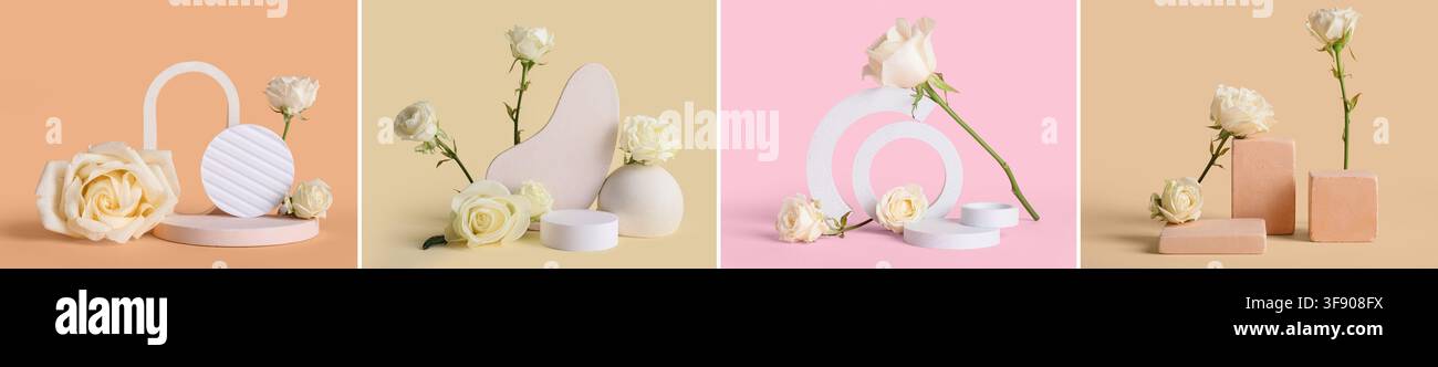 Collage di rose bianche con podi geometrici e forme astratte su sfondi pastello per la presentazione di prodotti, Queste composizioni minimaliste sono adatte Foto Stock