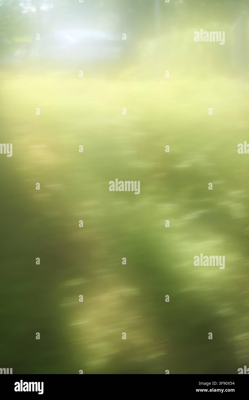 Sogno della natura, vago, non specifico, immagine sfocata di un prato estivo con luce e ombra, sfocato, sogno vago, visione, sogno, sfocato Foto Stock