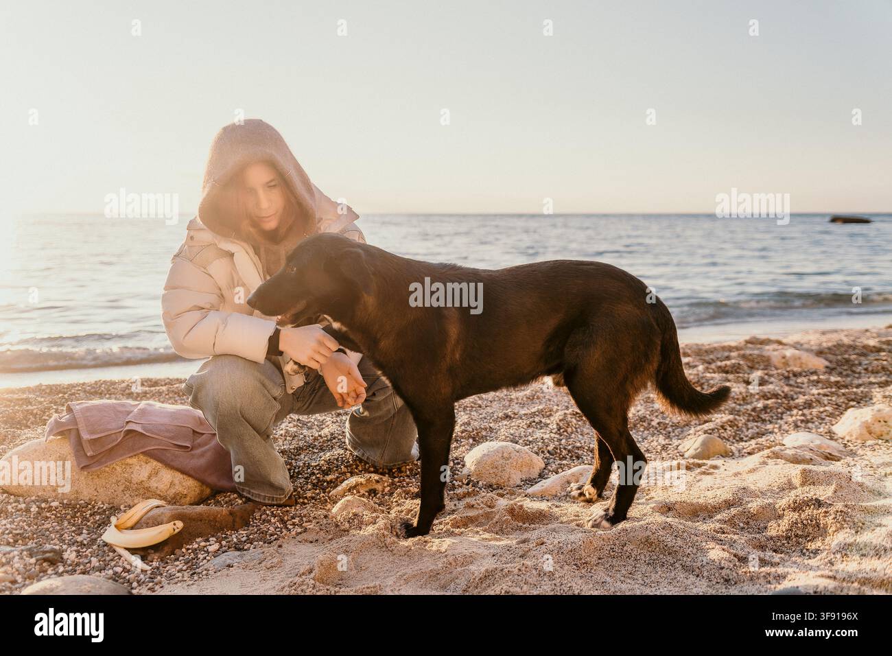 Donna cane che esplora la spiaggia con un compagno animale nero durante una pacifica ora dorata al tramonto. Foto Stock