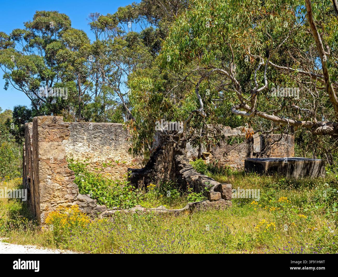 Rovine di Kiers, parco nazionale di Cleland Foto Stock