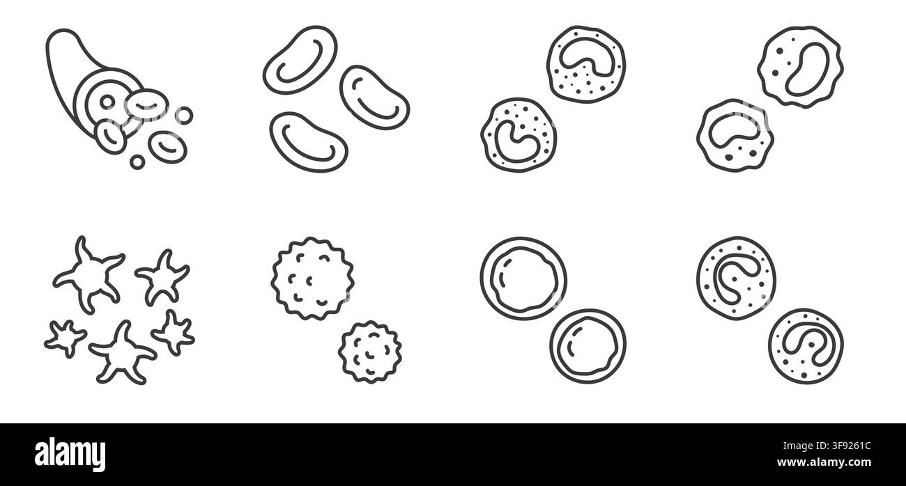 Set di icone lineari dei componenti del sangue. Cellule rosse eritrocitarie, piastrine, basofilo, monocita, leucocita, linfocita, eosinofilo illustrazione vettoriale lineare Illustrazione Vettoriale