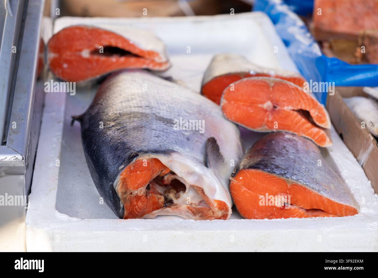 Porzioni di salmone crudo disposte per la vendita su un vassoio di raffreddamento, evidenziando il colore vivace, l'alta qualità proteica e la consistenza naturale ideale per nutritiou Foto Stock