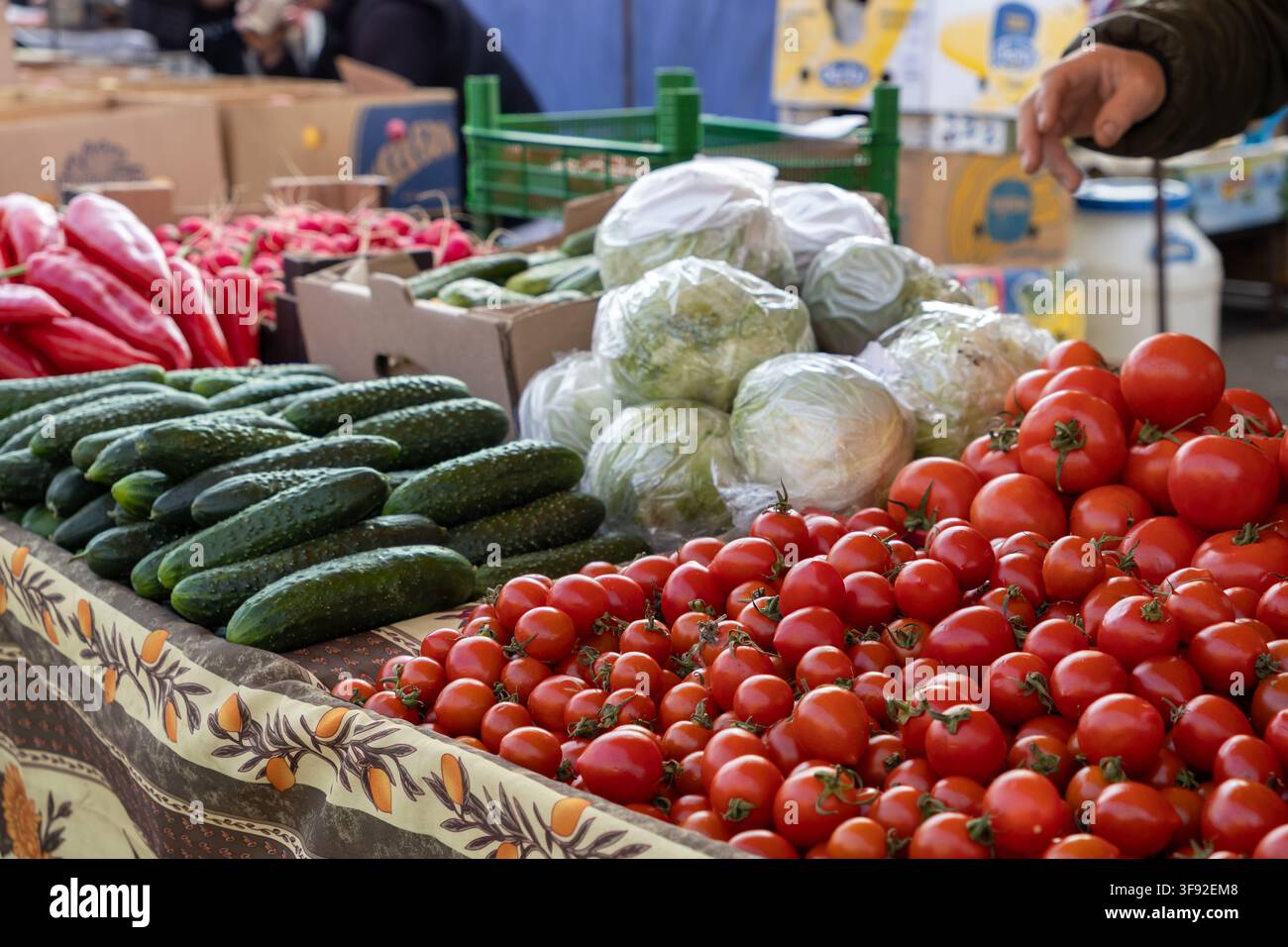 Selezione abbondante di prodotti stagionali vivaci tra cui pomodori, cetrioli e cavoli disposti per la vendita in un vivace mercato contadino, evidenziando Foto Stock