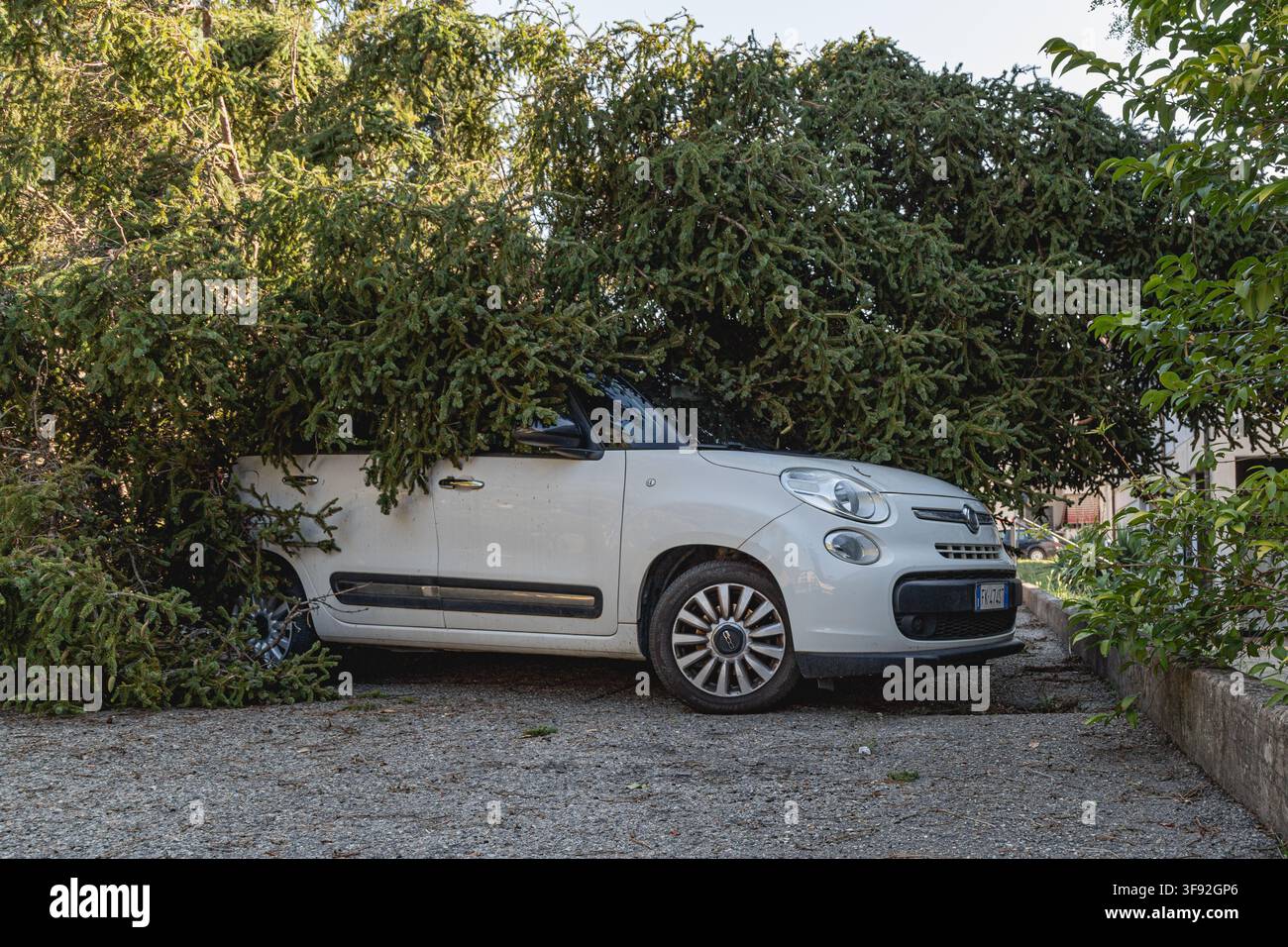 Auto danneggiata da un albero caduto dopo una forte tempesta. Danni al veicolo da una calamità naturale. Foto Stock