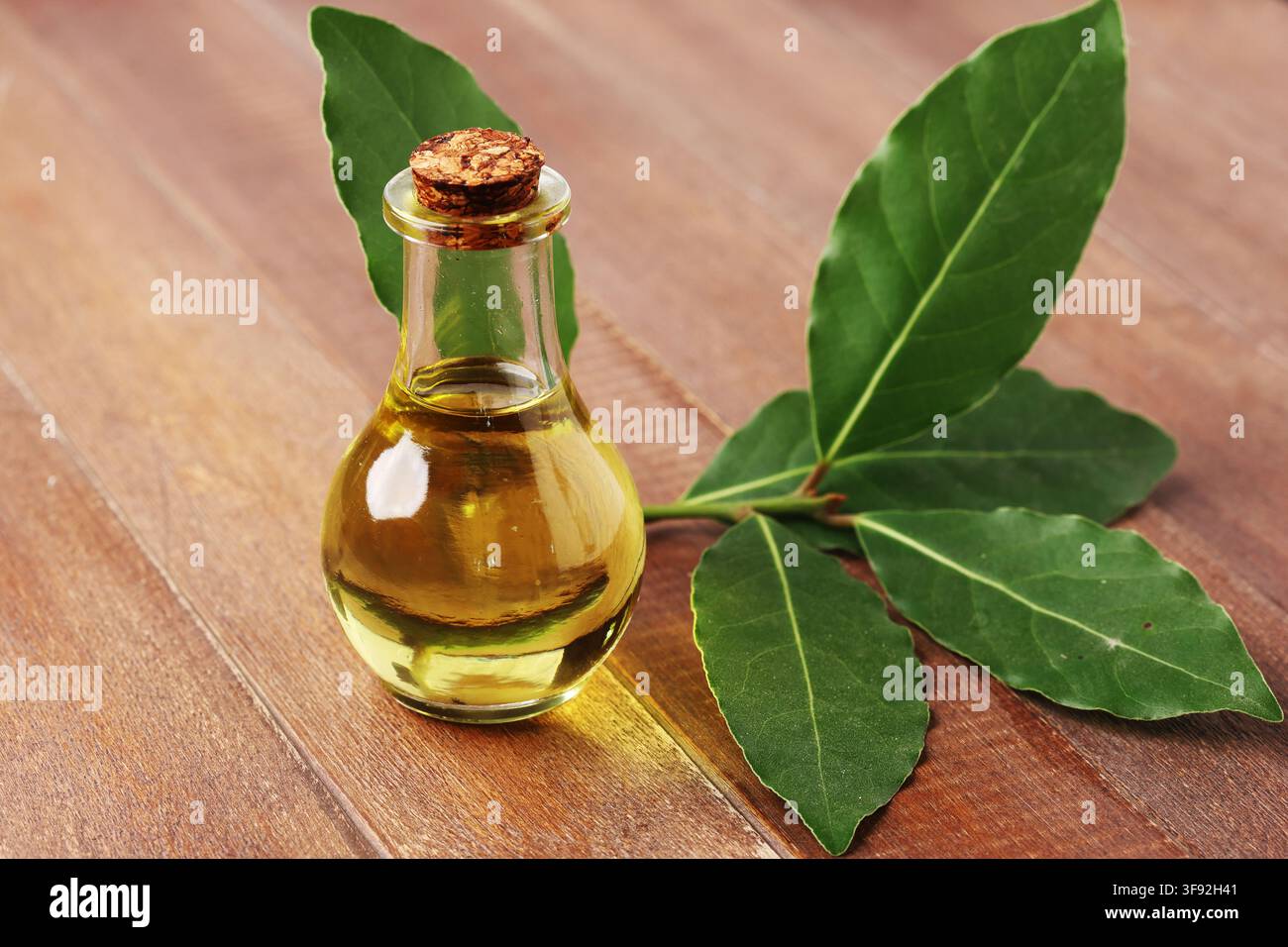 Olio essenziale di alloro in bottiglie di vetro con foglie di alloro fresche su superficie di legno Foto Stock
