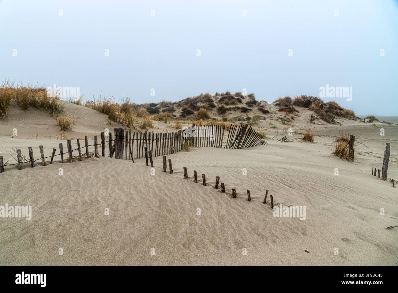 Un paesaggio di dune impressionante nella Camargue nel sud della Francia. Foto Stock